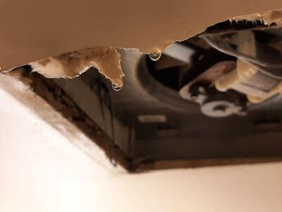 Professional water damage restoration services in Downey - RiseGuardX